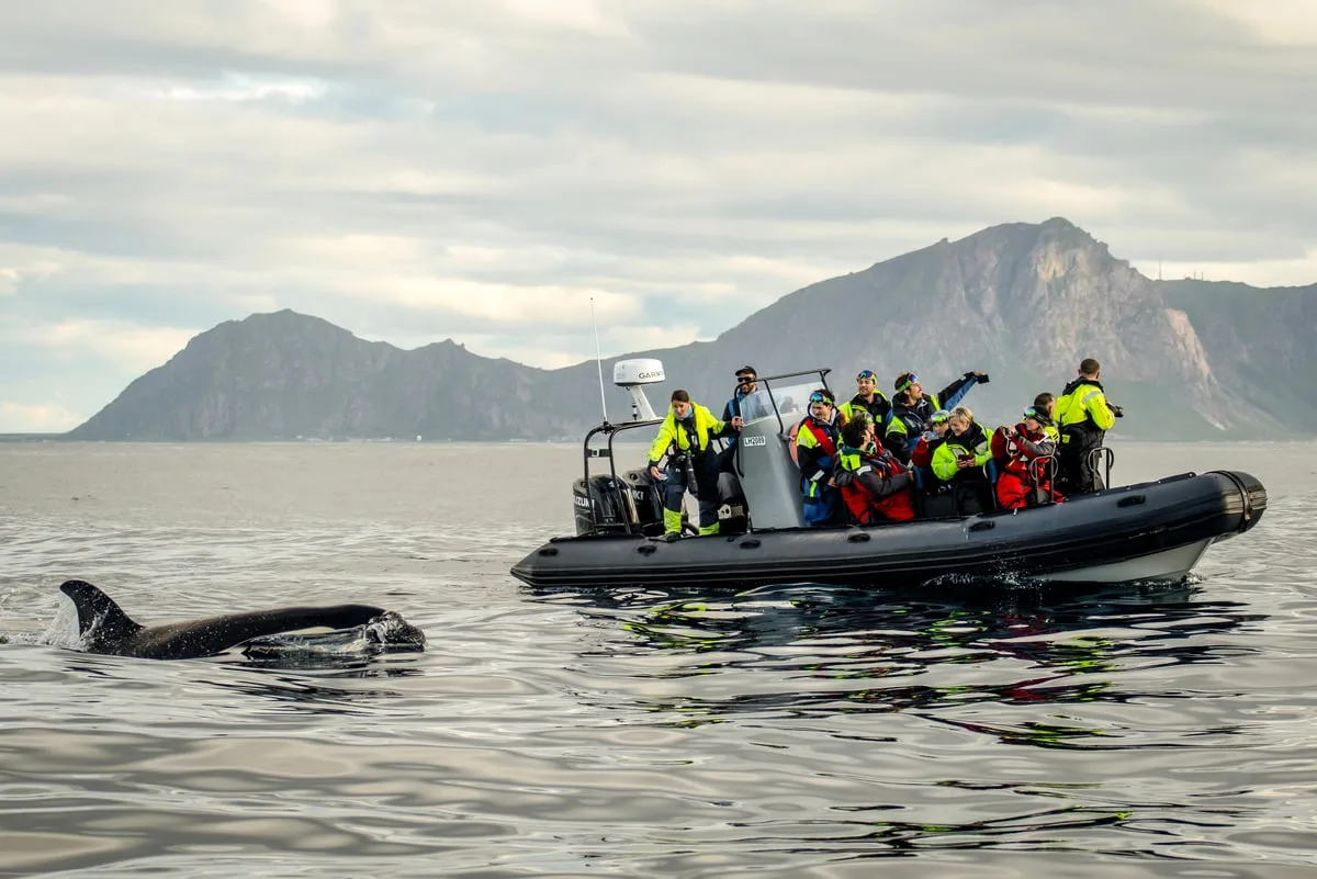Group in protective suits aboard a RIB