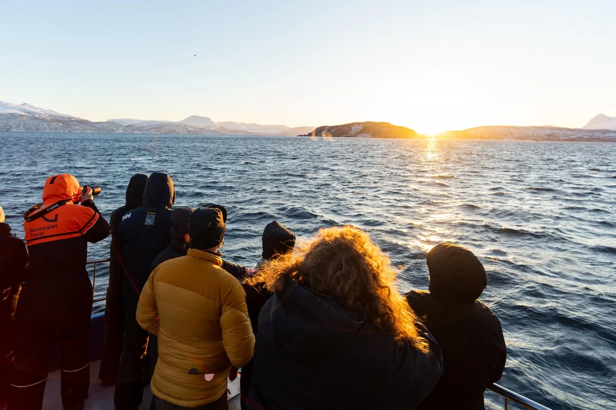 Guests looking over the sea at sunset