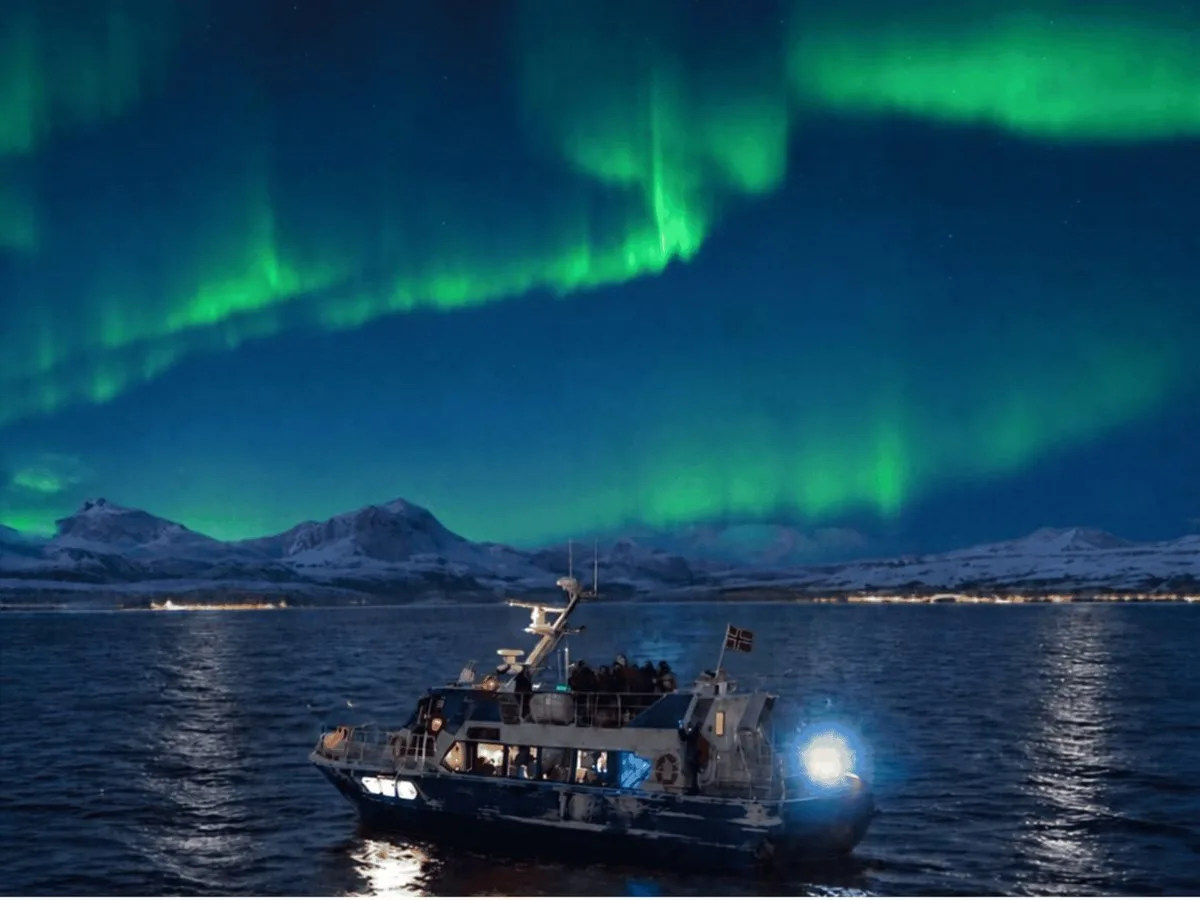 Cruise boat beneath a green aurora